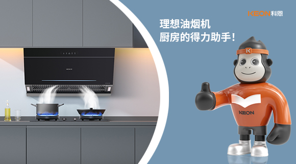理想油煙機(jī)：廚房的得力助手！